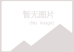 桐城雅山工程有限公司